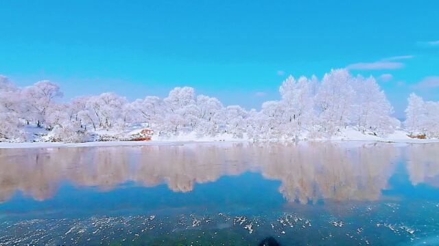 赏冰乐雪在龙江|玉树琼花雾凇岛