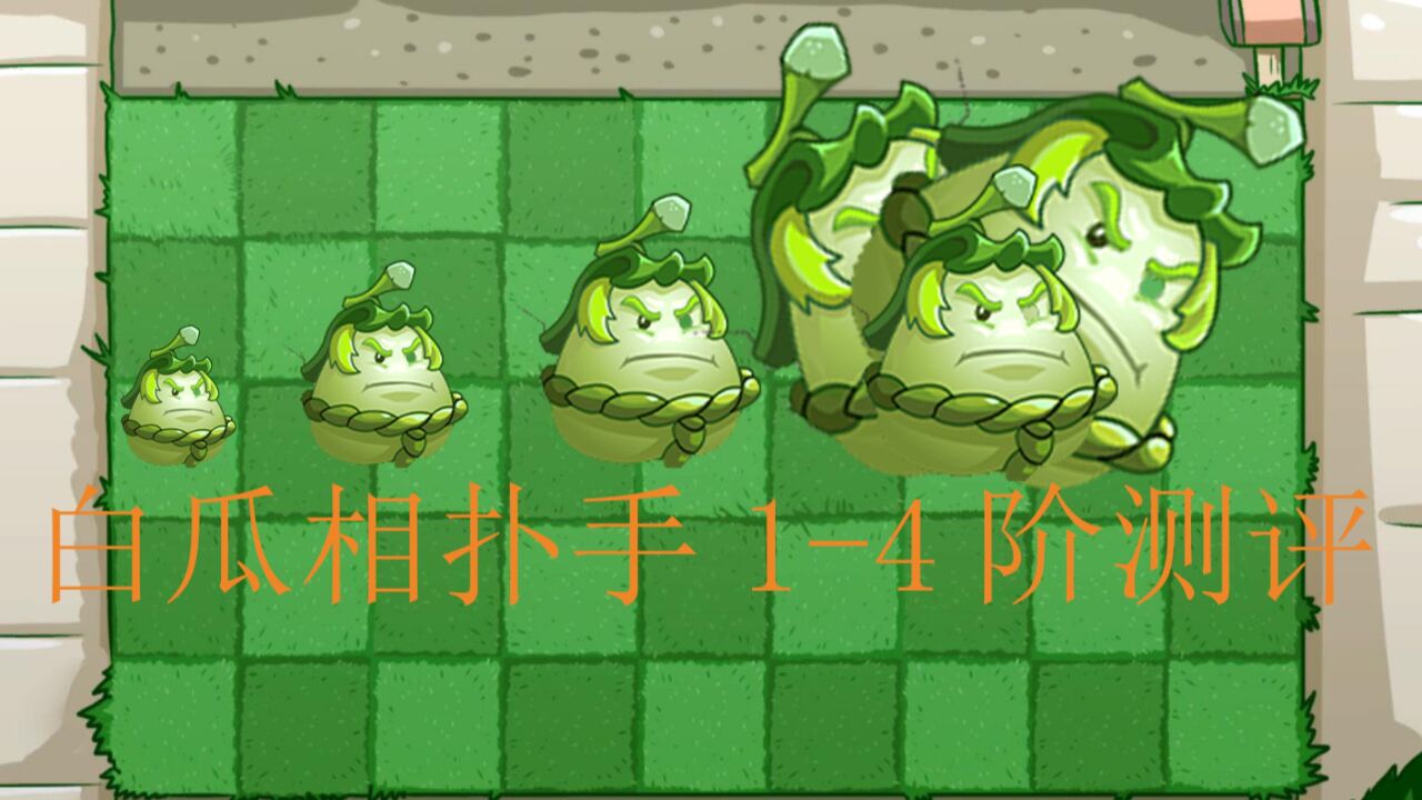 005植物大战僵尸2:5分钟白瓜相扑手1-4阶测评,大招燃爆全屏!
