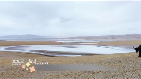 西藏人文纪录片，即将消逝的传承，高原上的采盐人"西藏 "西藏纪录片 "纪录片解说 