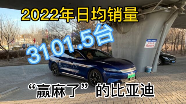 日均销量3101.5台 就这还不是全品牌的销量成绩 2022比亚迪赢麻了