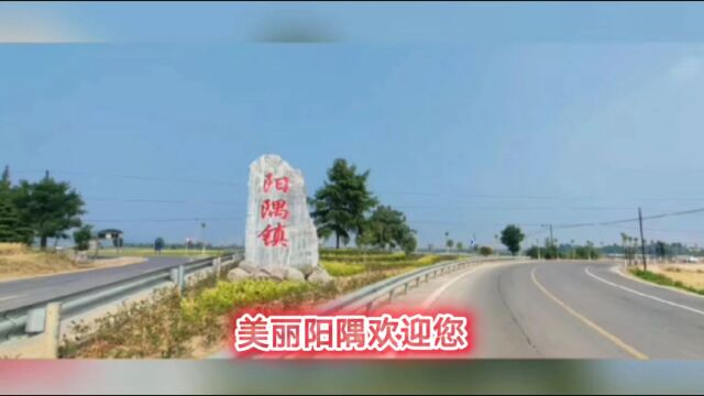 惠民生,暖民心——闻喜县阳隅镇2022年八大民生实事盘点