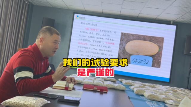 【新疆三瑞】我们的试验田都是严谨的,今年发现好的品种,明年在小面积试验示范,后年再推广