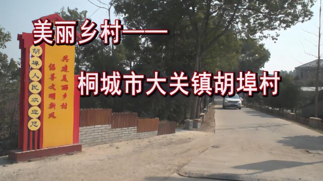 【短视频】美丽乡村——桐城市胡埠村