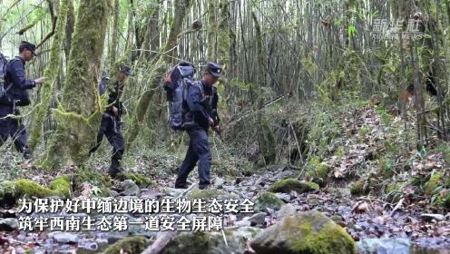 云南腾冲：圆满完成第25次高黎贡山武装巡护任务