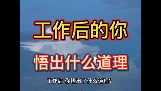 工作后,你悟出了什么道理?