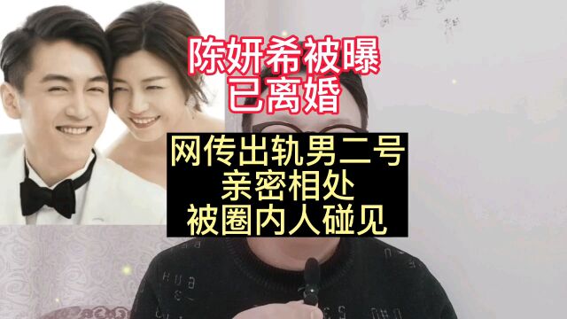 陈妍希被曝已离婚,网传出轨男二号