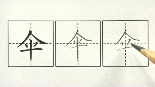 伞,二下课文9枫树上的喜鹊