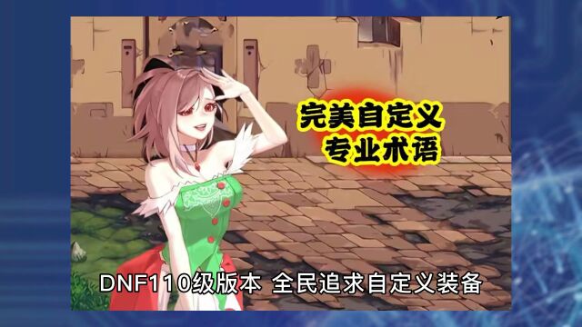 DNF:完美自定义专业术语