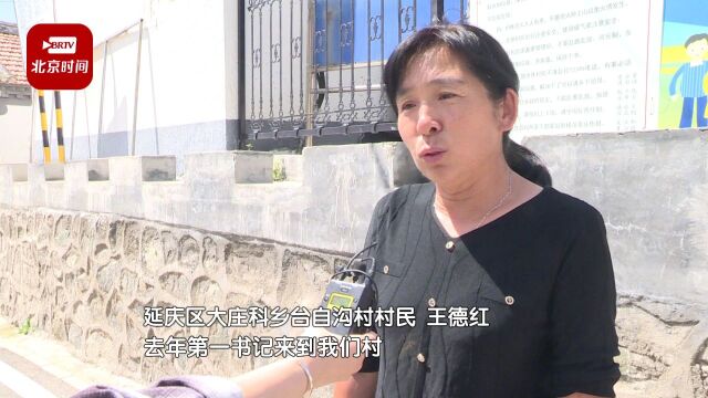 打造山杏特色产业 为老龄化乡村注入新活力