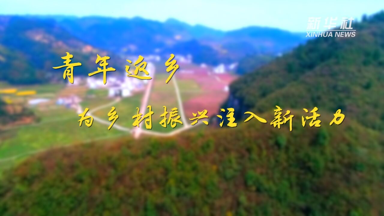 乡村振兴之路｜青年返乡，为乡村振兴注入新活力_高清