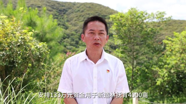 视频展播 |县区林长话绿美湛江篇