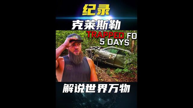 一辆50万的伪豪车掉入悬崖,这个救援的方式太硬核了!