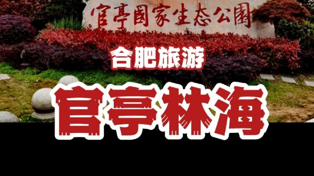 【官亭林海】皖中绿海,岭上花园