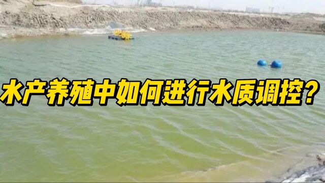 水产养殖中如何进行水质调控?