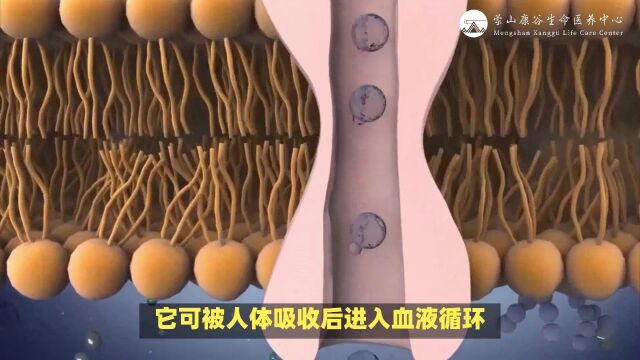 20、科普小课堂:甲壳素、壳聚糖和壳寡糖,三种物质功效大不同!