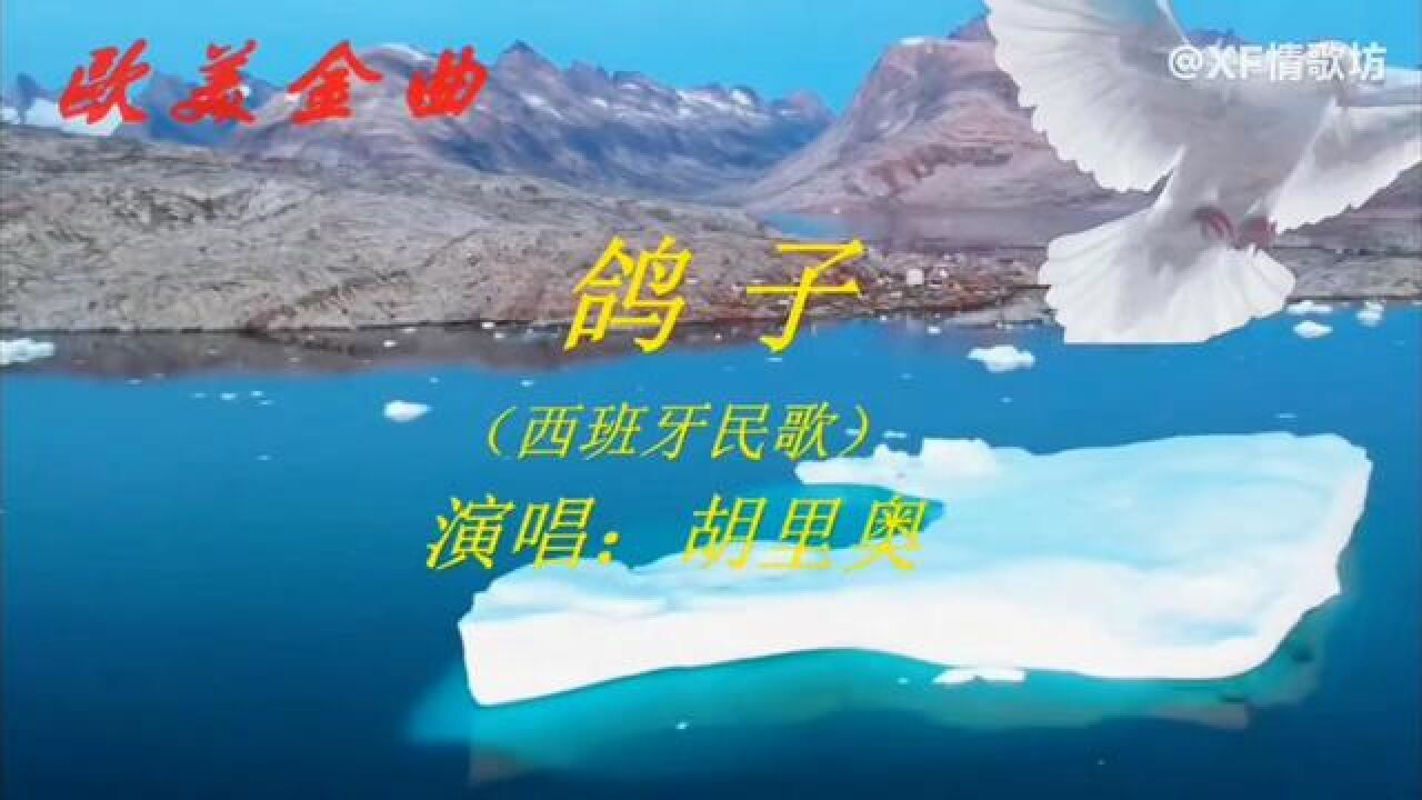 致敬经典西班牙情歌 《鸽子》#胡里奥·伊格莱西亚斯 演唱