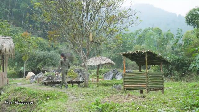 「福利姐勇闯荒野」大本营篇5 建立一个刺猬笼子驯服野生刺猬