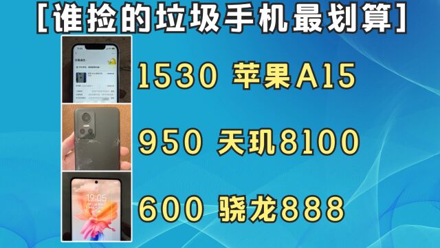 【粉丝投稿】谁捡的垃圾手机最划算?苹果A15,天玑8100,骁龙888!