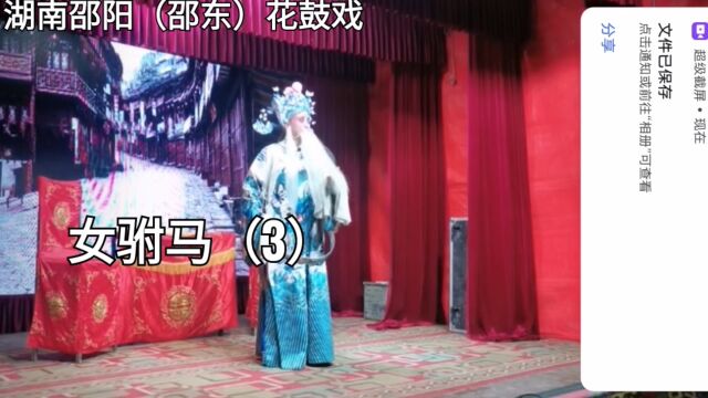 湖南邵阳(邵东)花鼓戏《女驸马》(3)