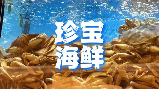 “水族馆”里吃海鲜?现捞的生猛活珍宝蟹才是真新鲜!#珍宝海鲜 #美食探店流量来了 #珍宝蟹