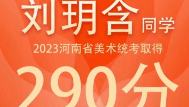 河南美术统考290学姐分享