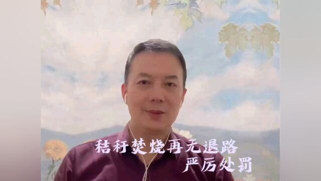 焚烧秸秆严厉处罚?请高抬贵手.