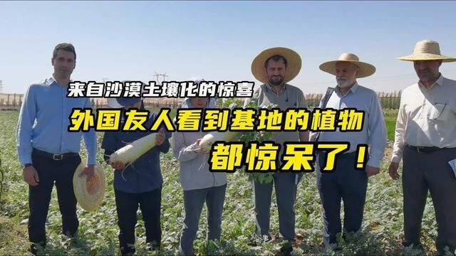 来自沙漠土壤化的惊喜:外国友人看到基地的植物都惊呆了!