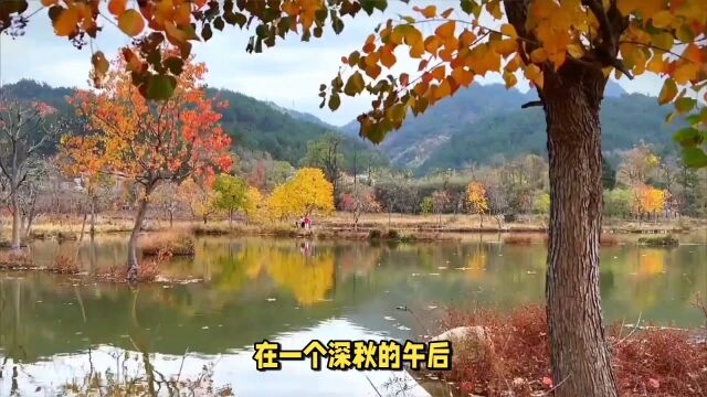 察关村:满山的红叶如火如荼,与青砖白墙的古建筑交相辉映