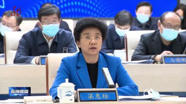 梁惠玲:坚持政务服务标准化规范化数字化 扎实推进数字政府建设取得新突破