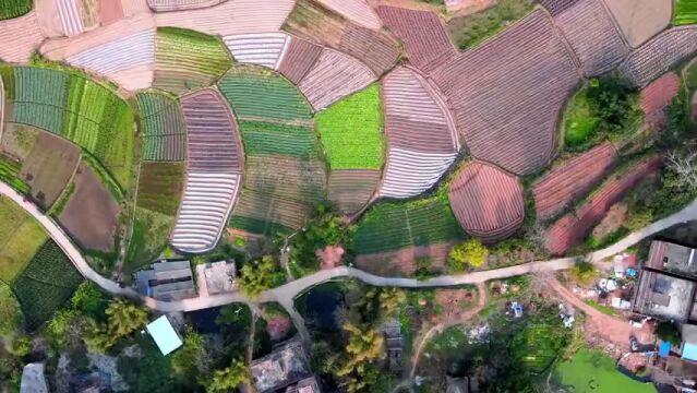 @西安人 最新报告出炉!事关你的收入、住房… | 明确了!陕西省首次,就在5月13日【更多新闻速览戳↓↓】