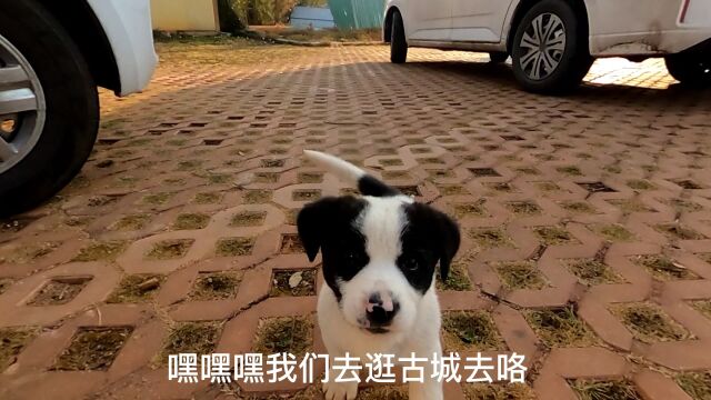 床车自驾,带你去状元府邸感受状元府邸的家教家风