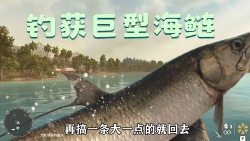 钓了两条巨型海鲢,换了好多有用的材料,以后可以在岛上横着走了_高清1080P在线观看平台_腾讯视频