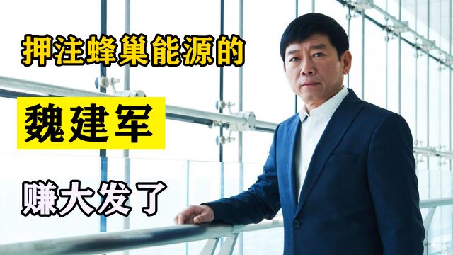 脱胎自长城汽车,估值达600亿?押注蜂巢能源的魏建军,赚大发了