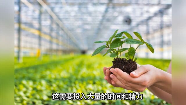 解析淡紫拟青霉的应用缺点和挑战