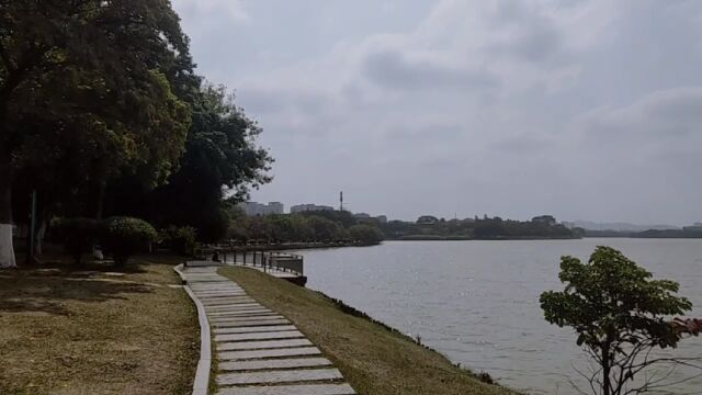 东莞八景之一的松湖烟雨,第一次来感觉松山湖好大,吃的一来