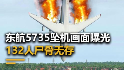 东航5735坠机影像，飞机从近9000米高空直插地面，132人尸骨无存