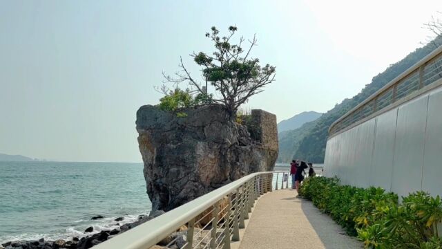 杨梅坑海滨栈道,风景优美!