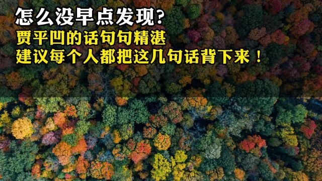 怎么没早点发现?贾平凹的话句句精湛,建议每个人都把这几句话背下来!