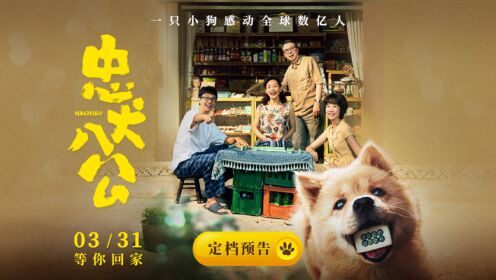 电影《忠犬八公》定档3月31日一只小狗感动全球数亿人_电影_高清完整版视频在线观看_腾讯视频