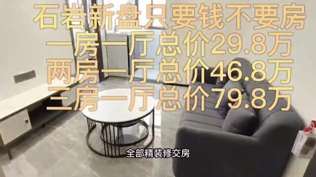 深圳片区高性价比的小产权房推荐:石岩新盘两房46.8万带精装修(2023最新开盘动态更新)