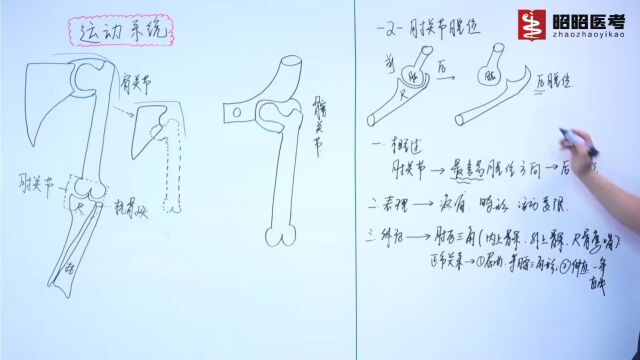 05.关节脱位和损伤