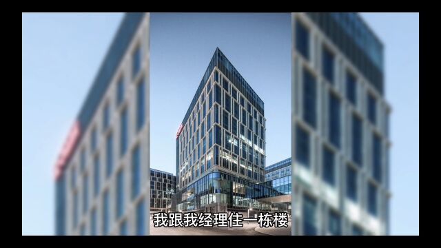 我跟我经理住一栋楼,原来她上班都是公司私家接送的……