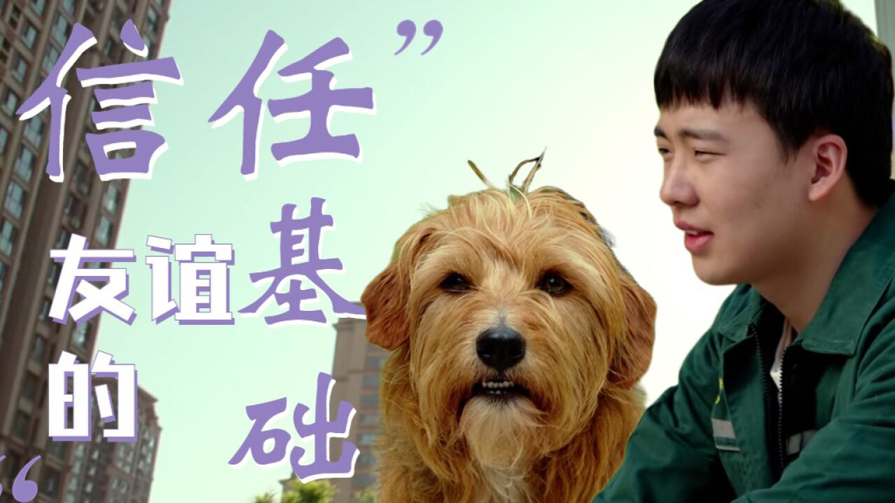 宠爱:狗的天性是与信任它的人接触,狗永远是人类忠诚的朋友_高清1080P在线观看平台_腾讯视频