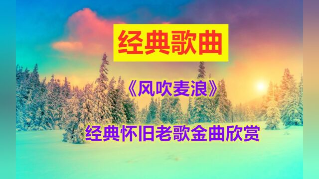 《风吹麦浪》经典怀旧老歌金曲欣赏