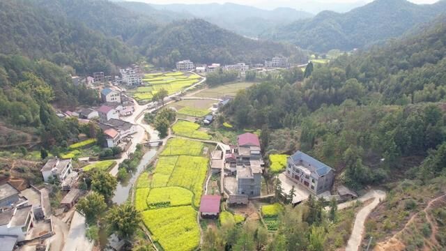 涧田乡又一个红色名村即将重金打造,里仁村樟树下,#我国有哪些红色旅游胜地 #红色名村