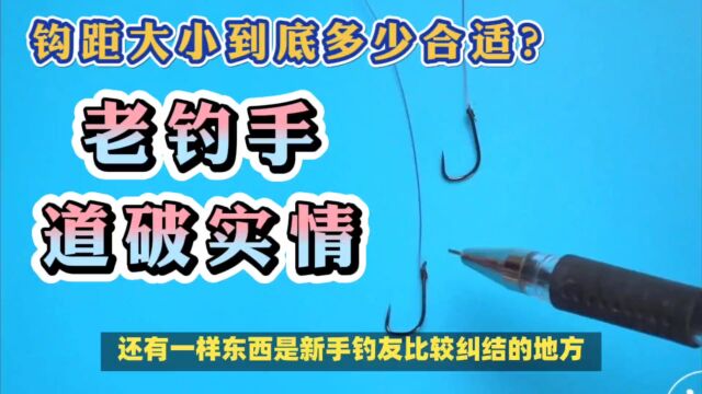 钩距大小有何讲究?实战经验告诉你,这样选择钩距渔获会更多!