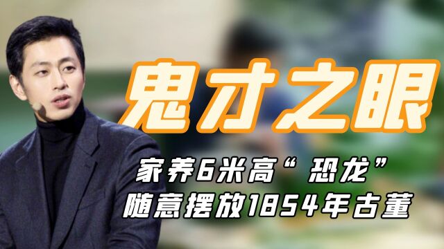 家养6米高“恐龙”,随意摆放1854年古董,“水哥”王昱珩多有钱