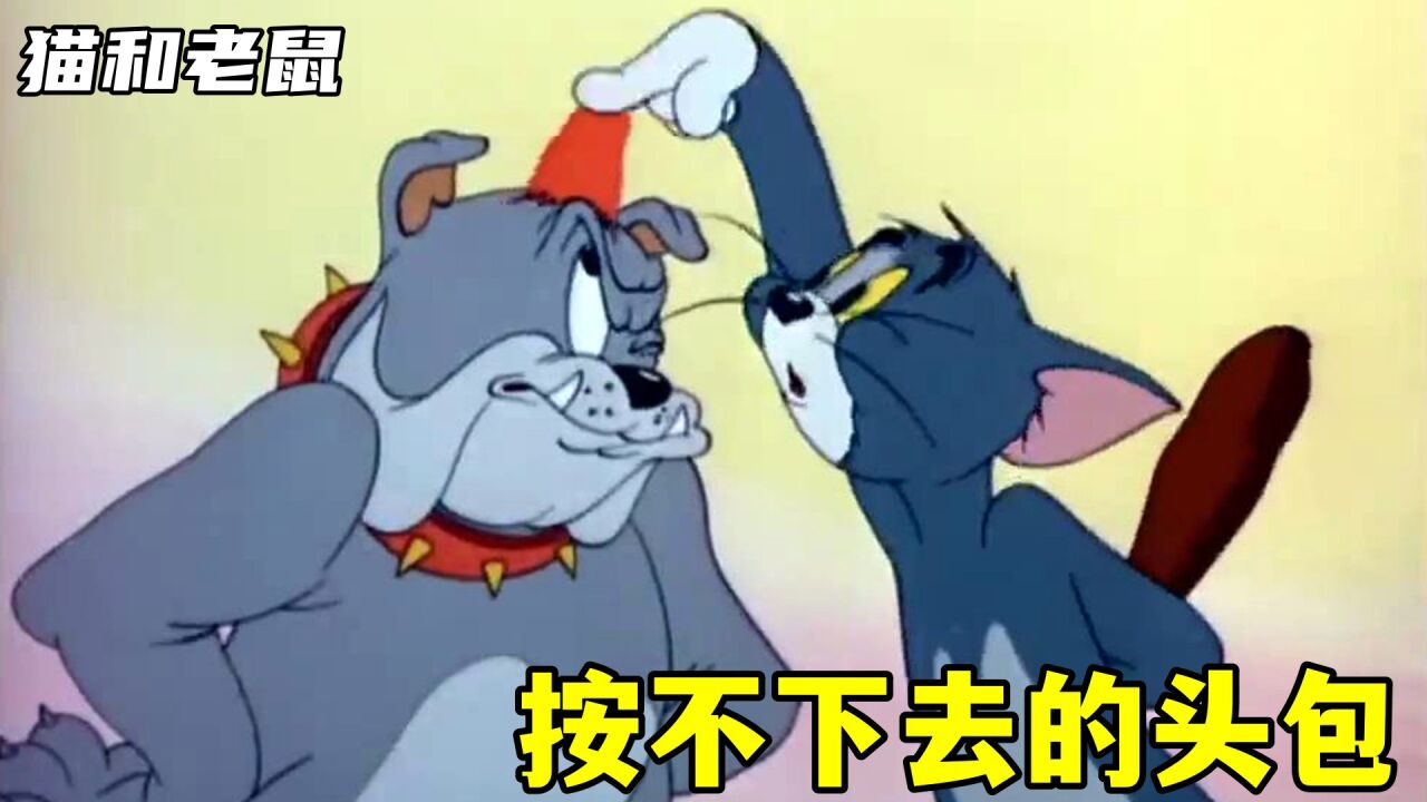 猫和老鼠:汤姆钓鱼掉到斯派克的头上,结局预想之中又预料之外!