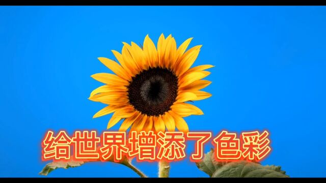 走进植物世界8