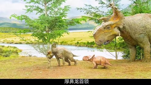 与恐龙同行》合集！#恐龙世界 #史前巨兽 #厚鼻龙